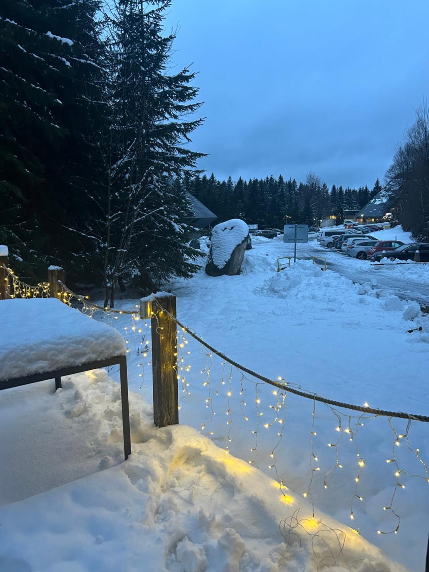 Horsky Chalet 哈拉霍夫 外观 照片